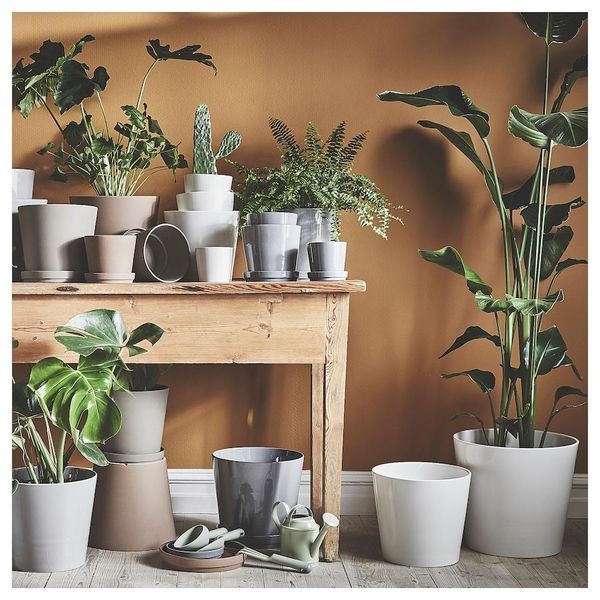 Горшок для цветов IKEA SOJAB&Ouml;NA Диаметр - 19 см Белый 505.335.76 505.335.76 ➜ Пакуємо МИ📦 фото